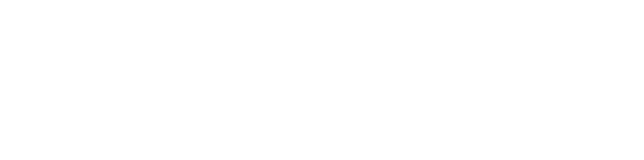 Prossimo Standard white logo